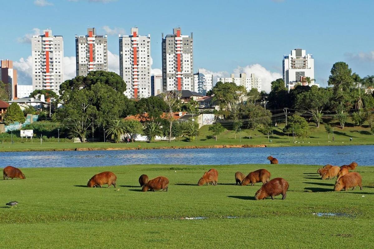 Predio Fantastico No Bairro Mais Requisitado De Curitiba Ngoại thất bức ảnh